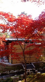 永観堂