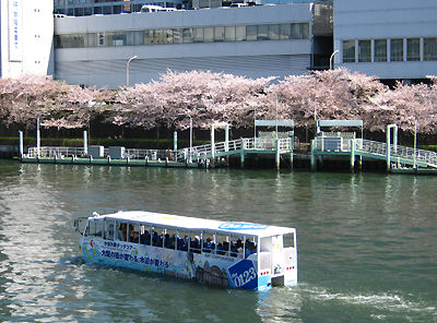 20100408_817064[1]