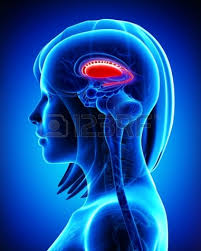 電磁波とマインド コントロール 電磁波攻撃で復讐