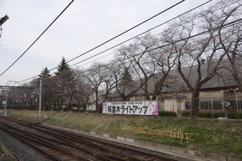 20160331matsudo_light_2