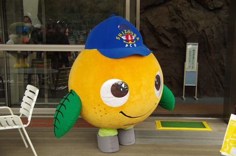 20141111_kouhou150_8