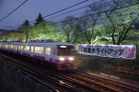 20170326sdf_sakura_02