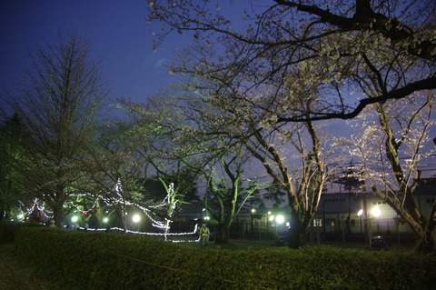 20160331matsudo_light_10