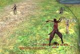 セレステ放置の1
