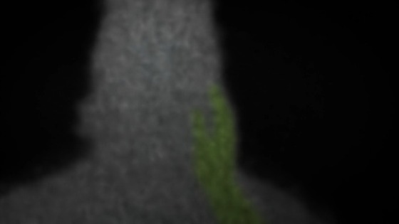 00824