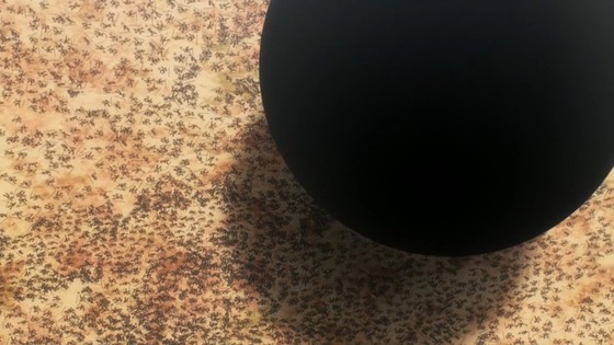 00189