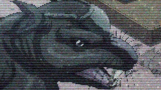 00255