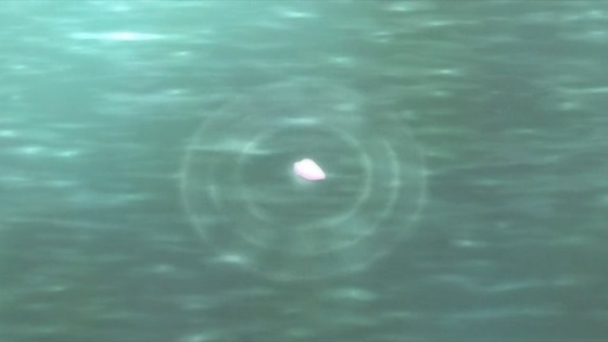 00410