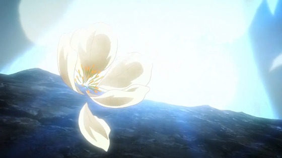 00536