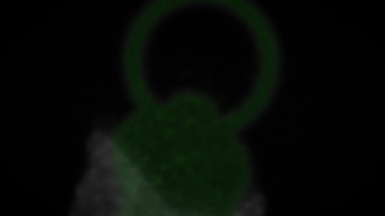 01216