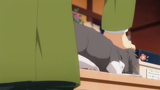 00531