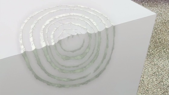 00019