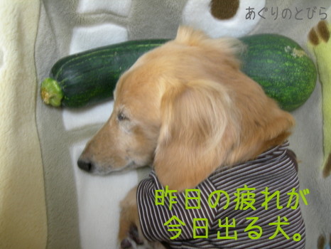 makura2