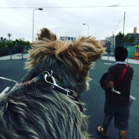 2017-08-15-16-28-14