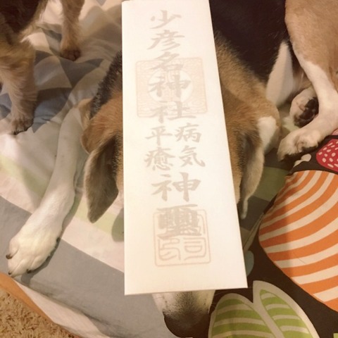2016-12-15-15-11-11