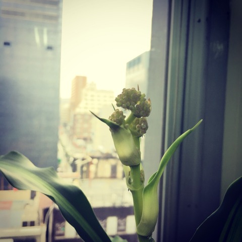 2017-02-09-12-41-54