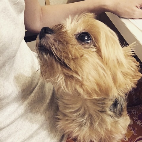 2017-08-17-18-41-09