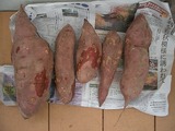 収穫したサツマイモの一部