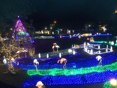 12311154_653669228108614_1644309033871032599_n