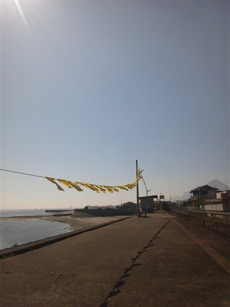 SBSH0223