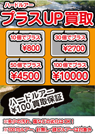 ルアープラスアップ+100円保