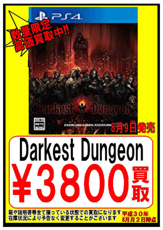 【9日】Darkest Dungeon