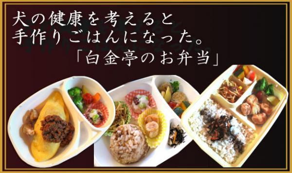 �ق̂ڂ̏E���摜3���� [���f�]�ڋ֎~]©2ch.net	YouTube����>2�{ ->�摜>1430�� 