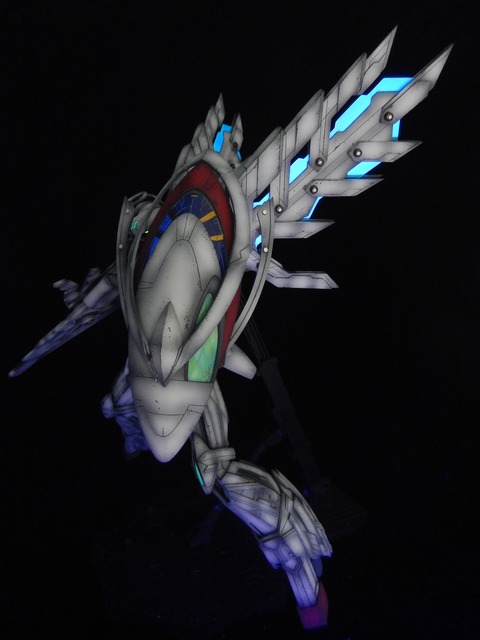DSCN4451