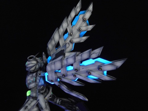 DSCN4508