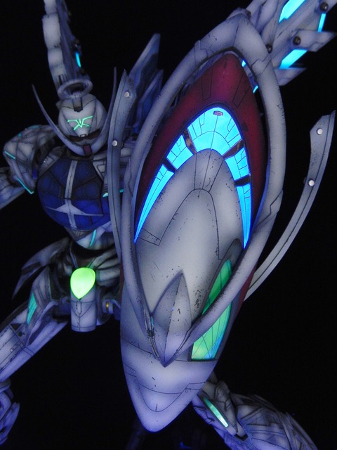 DSCN4416