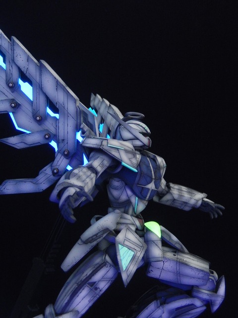 DSCN4504