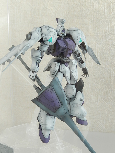 DSCN2527