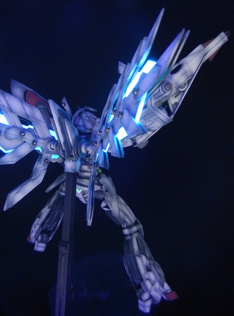 DSCN4397