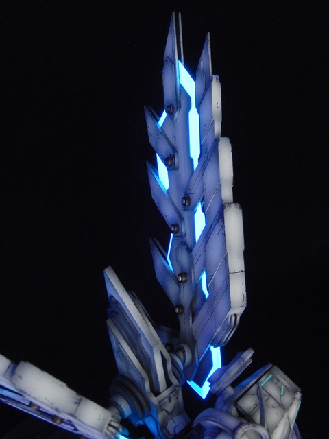 DSCN4479