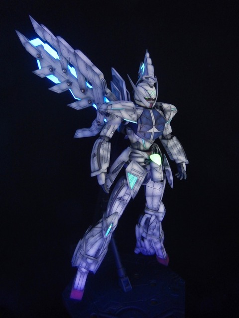 DSCN4458