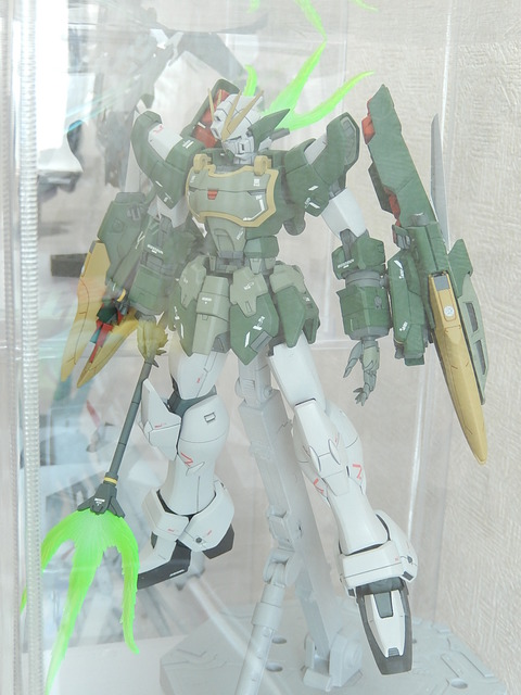 DSCN2531