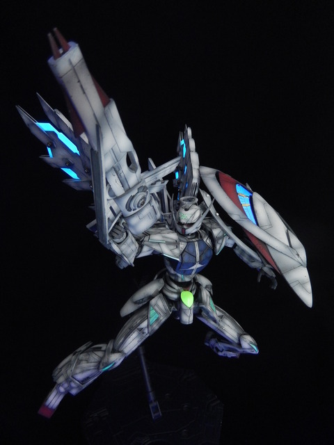 DSCN4353