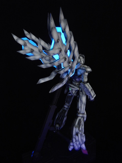 DSCN4463