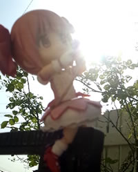 光の矢まどか