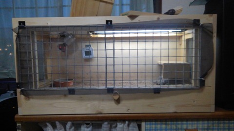 KIMG0238