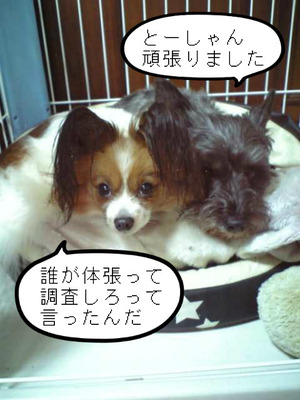 BlogPaint