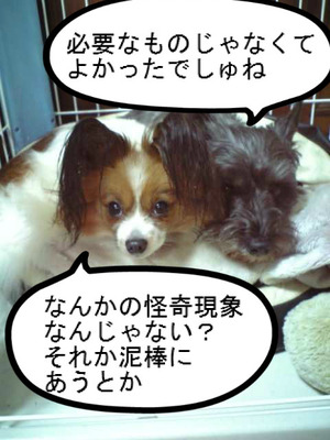 BlogPaint