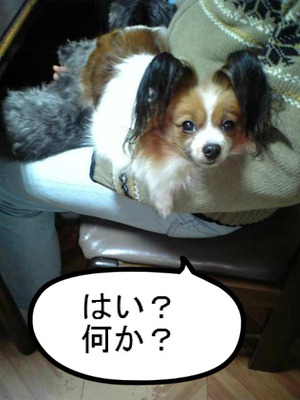 BlogPaint
