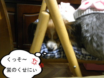 BlogPaint