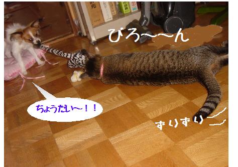 �Ӥ�������