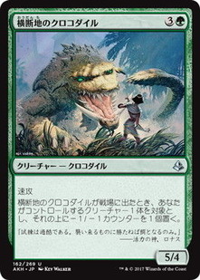 akh_横断地のクロコダイル