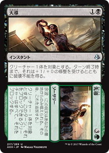 akh_天導+先導