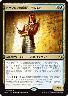 akh_ナクタムンの侍臣、テムメト