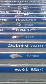 080502西鉄柳川駅03