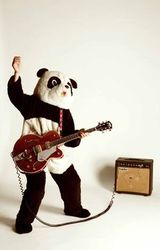 guitarpanda